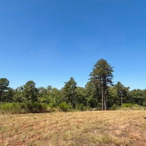 Photo #22 of Off of Timberland Trail, Huddleston, VA 64.3 acres