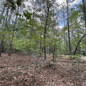 Photo #10 of Off of Elfman Dr, Spring Lake, NC 0.5 acres