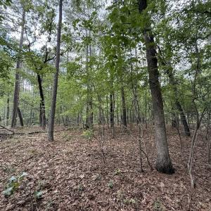 Photo #13 of Off of Elfman Dr, Spring Lake, NC 0.5 acres