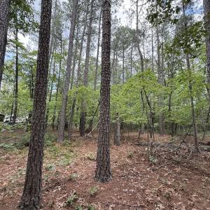 Photo #17 of Off of Elfman Dr, Spring Lake, NC 0.5 acres
