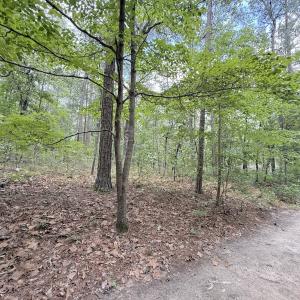 Photo #26 of Off of Elfman Dr, Spring Lake, NC 0.5 acres