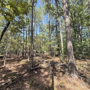 Photo #27 of Off of Elfman Dr, Spring Lake, NC 0.5 acres