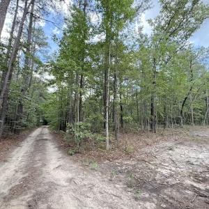 Photo #3 of Off of Elfman Dr, Spring Lake, NC 0.5 acres