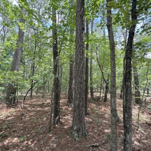 Photo #30 of Off of Elfman Dr, Spring Lake, NC 0.5 acres