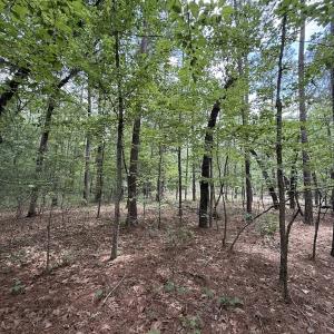 Photo #31 of Off of Elfman Dr, Spring Lake, NC 0.5 acres