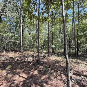Photo #37 of Off of Elfman Dr, Spring Lake, NC 0.5 acres