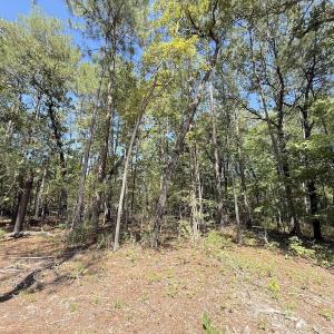 Photo #38 of Off of Elfman Dr, Spring Lake, NC 0.5 acres