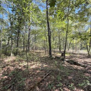 Photo #39 of Off of Elfman Dr, Spring Lake, NC 0.5 acres