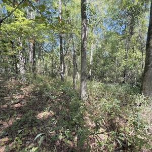 Photo #40 of Off of Elfman Dr, Spring Lake, NC 0.5 acres