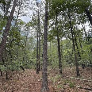 Photo #5 of Off of Elfman Dr, Spring Lake, NC 0.5 acres