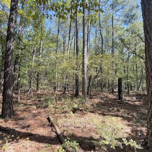 Photo #6 of Off of Elfman Dr, Spring Lake, NC 0.5 acres