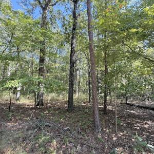 Photo #41 of Off of Elfman Dr, Spring Lake, NC 0.5 acres