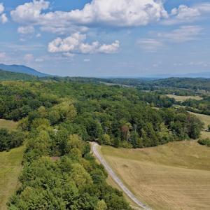 Photo #11 of 576 Alpine Rd, Buchanan, VA 86.4 acres
