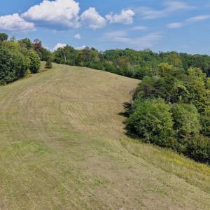 Photo #13 of 576 Alpine Rd, Buchanan, VA 86.4 acres