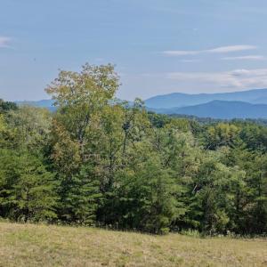 Photo #14 of 576 Alpine Rd, Buchanan, VA 86.4 acres