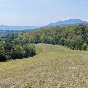Photo #16 of 576 Alpine Rd, Buchanan, VA 86.4 acres