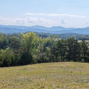 Photo #17 of 576 Alpine Rd, Buchanan, VA 86.4 acres