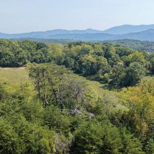 Photo #2 of 576 Alpine Rd, Buchanan, VA 86.4 acres