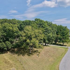 Photo #18 of 576 Alpine Rd, Buchanan, VA 86.4 acres