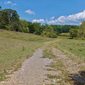 Photo #20 of 576 Alpine Rd, Buchanan, VA 86.4 acres