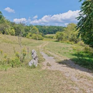 Photo #22 of 576 Alpine Rd, Buchanan, VA 86.4 acres