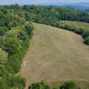 Photo #24 of 576 Alpine Rd, Buchanan, VA 86.4 acres