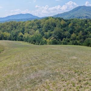 Photo #26 of 576 Alpine Rd, Buchanan, VA 86.4 acres