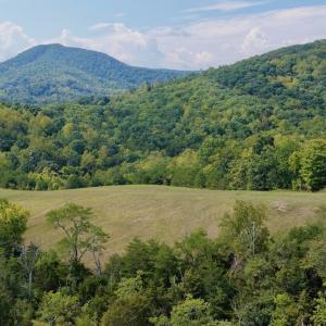 Photo #30 of 576 Alpine Rd, Buchanan, VA 86.4 acres