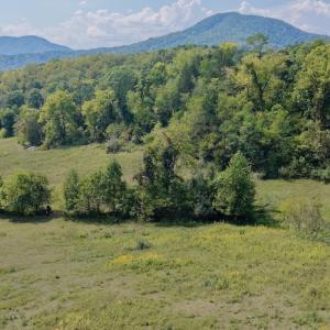 Photo #34 of 576 Alpine Rd, Buchanan, VA 86.4 acres