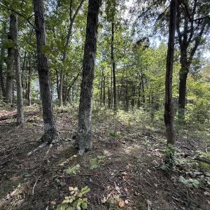 Photo #41 of 576 Alpine Rd, Buchanan, VA 86.4 acres
