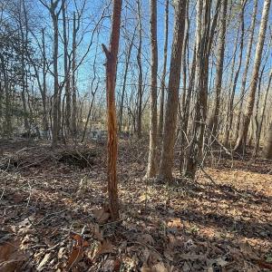 Photo #10 of 1012 S Halifax Rd, Rocky Mount, NC 20.0 acres