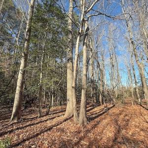 Photo #14 of 1012 S Halifax Rd, Rocky Mount, NC 20.0 acres