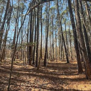 Photo #16 of 1012 S Halifax Rd, Rocky Mount, NC 20.0 acres