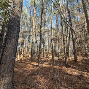 Photo #17 of 1012 S Halifax Rd, Rocky Mount, NC 20.0 acres