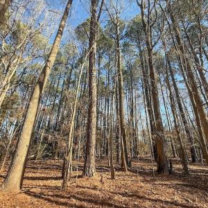 Photo #2 of 1012 S Halifax Rd, Rocky Mount, NC 20.0 acres