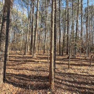 Photo #20 of 1012 S Halifax Rd, Rocky Mount, NC 20.0 acres