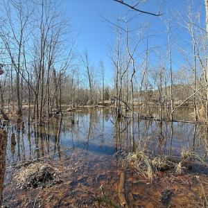 Photo #24 of 1012 S Halifax Rd, Rocky Mount, NC 20.0 acres