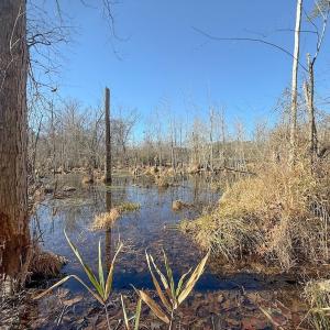 Photo #26 of 1012 S Halifax Rd, Rocky Mount, NC 20.0 acres