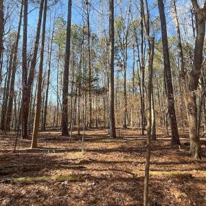 Photo #27 of 1012 S Halifax Rd, Rocky Mount, NC 20.0 acres