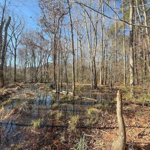 Photo #28 of 1012 S Halifax Rd, Rocky Mount, NC 20.0 acres