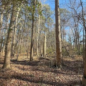 Photo #32 of 1012 S Halifax Rd, Rocky Mount, NC 20.0 acres