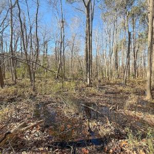 Photo #33 of 1012 S Halifax Rd, Rocky Mount, NC 20.0 acres