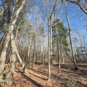 Photo #34 of 1012 S Halifax Rd, Rocky Mount, NC 20.0 acres