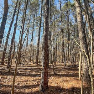 Photo #7 of 1012 S Halifax Rd, Rocky Mount, NC 20.0 acres