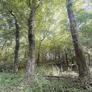 Photo #18 of Off of Clay Street, Franklin, VA 6.7 acres