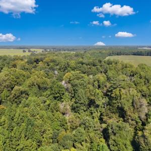 Photo #21 of Off of Clay Street, Franklin, VA 6.7 acres