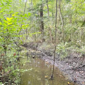Photo #24 of Off of Clay Street, Franklin, VA 6.7 acres