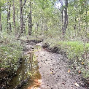 Photo #25 of Off of Clay Street, Franklin, VA 6.7 acres