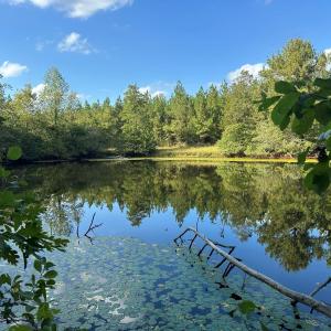 Photo #1 of  799 Sunnyside Rd , Arvonia, VA 140.0 acres
