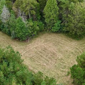 Photo #11 of  799 Sunnyside Rd , Arvonia, VA 140.0 acres